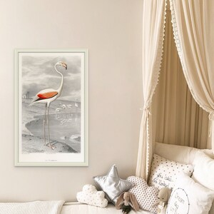 Stampa fenicottero vintage 1853 - Poster uccello vintage Illustrazione uccello Arte murale botanica Poster uccello Poster fenicottero Arte murale fenicottero
