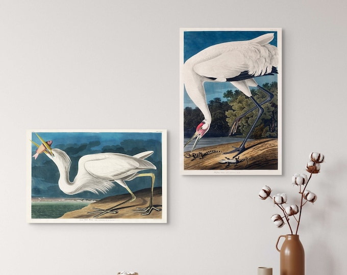 Ohara Koson Japanese Bird Print Set: Vintage Cuckatoo Art, 1925