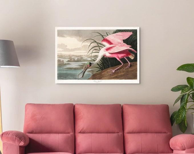 Vintage Bird Print Roseate Spoonbill 1827 Wall Art Botanical Illustration Home Decor