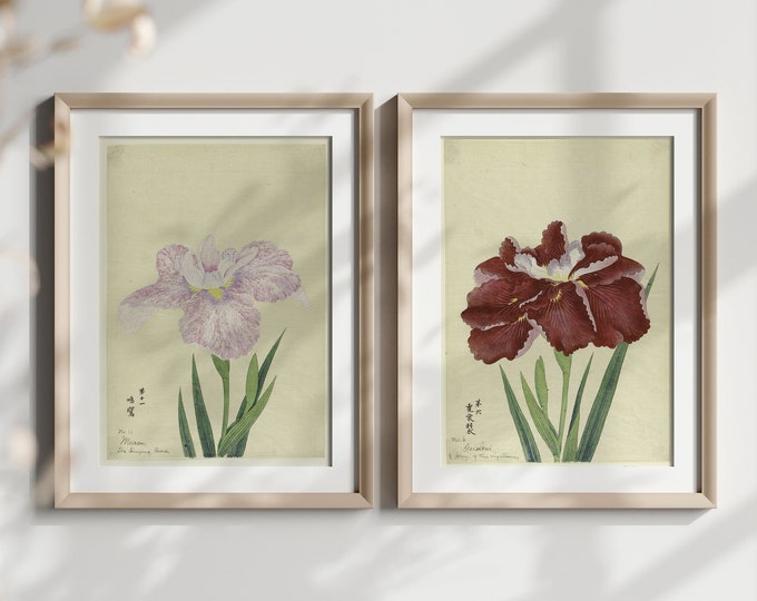 A Set Of 2 Japanese Flower Posters Iris Poster Vintage Botanical Illustration Butterfly Poster Japanese Wall Art Wall Art