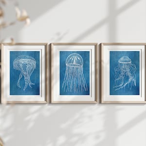 Set di 3 poster di Sea Life - Stampe botaniche di meduse e polpi - Arte murale marina su carta opaca