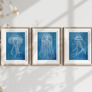 A beautiful Set of 3 Sea Life Posters -  Vintage Jellyfish Poster Botanical Illustration Octopus Print Marine Poster Gift Idea Wall Art