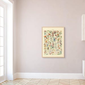 Poster vintage con fiori botanici, illustrazione floreale romantica di Adolphe Millot del 1909, decorazione artistica e scientifica
