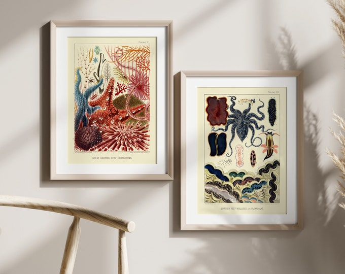 Vintage Sea Life Prints: Botanical Octopus & Coral Reef Wall Art