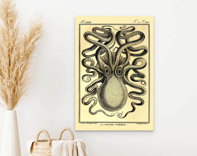 Wall Art Vintage Octopus Print - Haeckel Poster Vintage Marine Poster Octopus Poster Marine Wall Art Nautical Decor new