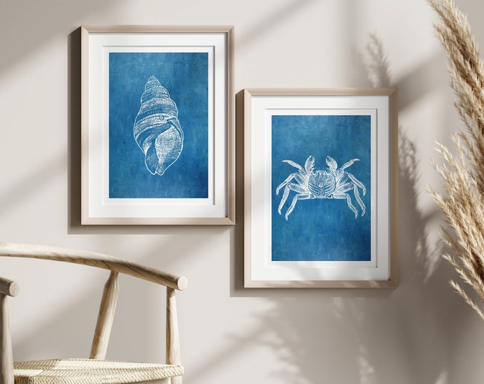 Vintage Sea Shell  Crab Poster Art  Premium Quality Wall Decor Create Your Set