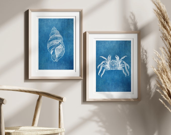 Vintage Sea Shell and a Crab Wall Art. Create Your Own Set From Our Shop.