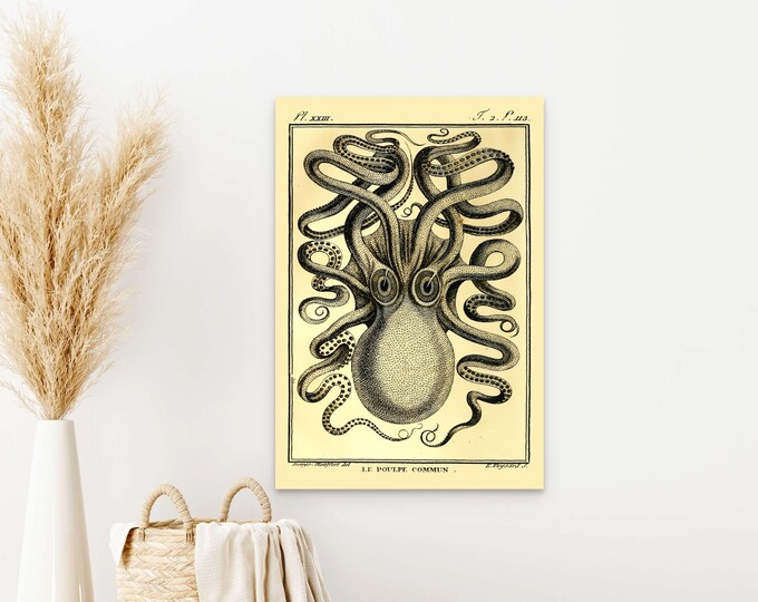 Vintage Octopus Print: Haeckel Marine Poster, Nautical Wall Art