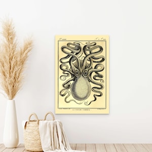 Póster de arte mural de pulpo vintage, decoración marina premium, impresión de diseño HAECKEL