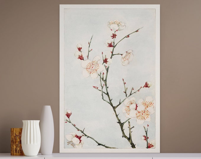 Plum Branches With Blossoms by Megata Morikaga Japanese Print Japanese Flower Illustration Botanical Print Japanese Decor Botanical Decor