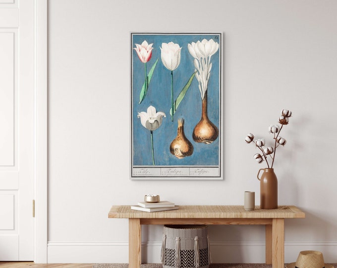 Vintage Tulip Botanical Wall Art  Elegant Flower Print for Kitchen Decor  Classic Plant Poster