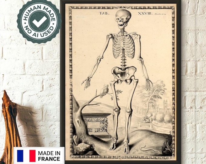 Wall Art Vintage Anatomical Print John Fotherby Skeleton Front Medical Wall Art Anatomical Print Medical Birthfay Medical Print