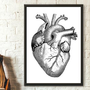 Vintage Anatomical Print - Medical Decor Human Anatomical Poster Medical Heart Poster Graduation Gift Idea Medical Wall Art Art Reproduction