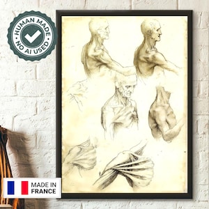 Da Vinci Medical Print 1511 - The Bones And Muscles Of The Shoulder - Medical Decor Human Anatomical Poster Medical Art Decor Gift Idea