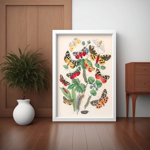Vintage Schmetterling Botanischer Druck Poster - Einzigartige Geschenkidee für Naturliebhaber