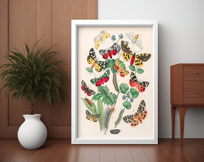 Vintage Butterfly Botanical Print Poster - Unique Gift Idea for Nature Lovers