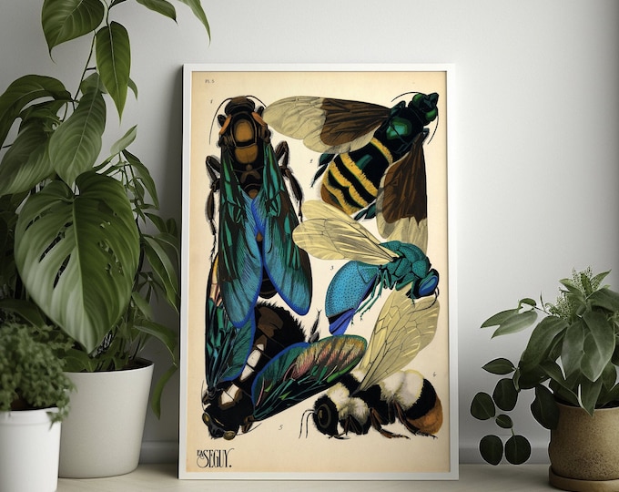 Vintage Wasp Wall Art - Insect Poster Home Decor Botanical Illustrations Gift Idea Insect Wall Art Botanical Decor Insect Poster