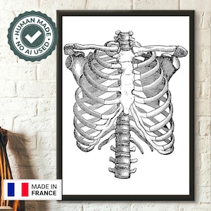 Póster vintage de anatomía de la caja torácica, arte médico de pared, decoración de primera calidad.