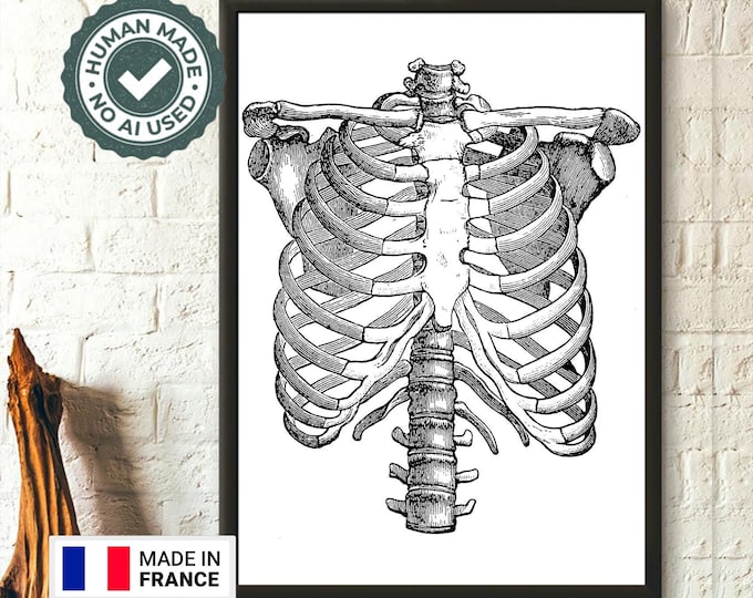 Vintage Rib Cage Anatomy Poster  Medical Wall Art  Premium Quality Decor