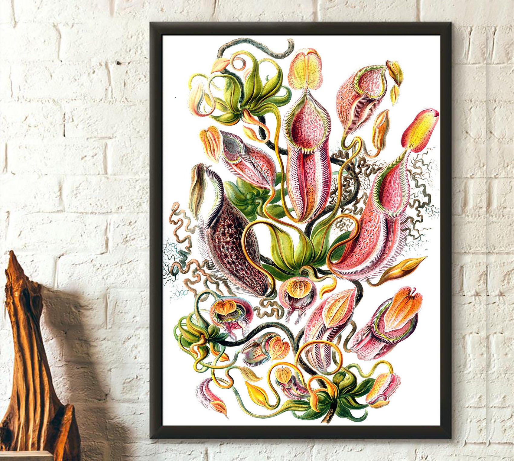 Pitcher Plant, Mid Century Botanical full color block print with 18x24 –  New South Pattern House