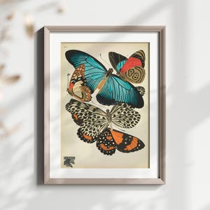 Vintage Schmetterling Wand Kunst Druck, Bunte Insekten Illustration, Natur Dekor, Haus Dekoration, Fine Art Poster, Wohnzimmer Kunst