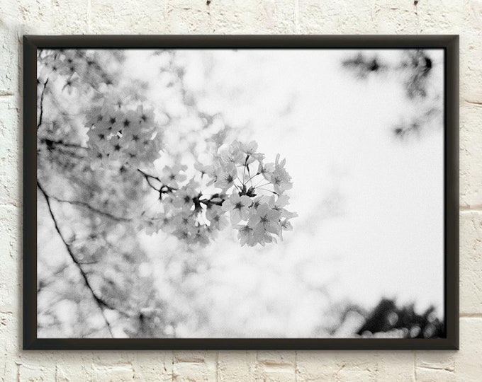 Cherry Blossom In Japan Botanical Art Print  Spring Flowers Print Colorful Art Print , Spring Floral Art Print, Wildflowers Print Wall Art