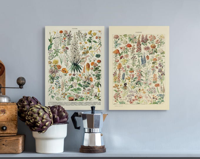 Adolphe Millot Vintage Flower Art Prints Set of 2 - Larousse Wall Décor for Kitchen  Living Room