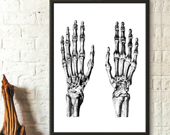 Anatomical Wall Art - Medical Decor Anatomical Poster Medical illustration Graduation Present Hand poster - Living Room Prints Wall Art