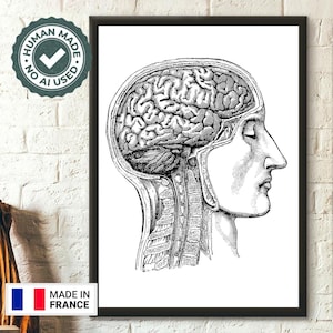 Vintage Anatomical Art Print  Human Brain Poster for Medical Decor Unique Gift Idea