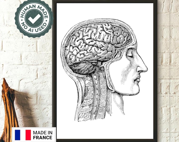 Vintage Anatomical Art Print  Human Brain Poster for Medical Decor Unique Gift Idea