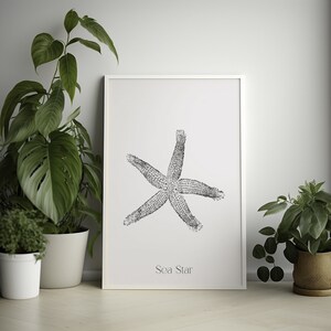 Wall Art Vintage Sea Sart Poster - Maritimer Druck Sea Life Poster Seastar Poster Geschenkidee. Erstellen Sie Ihre eigenen aus unserem Shop. Wandkunst