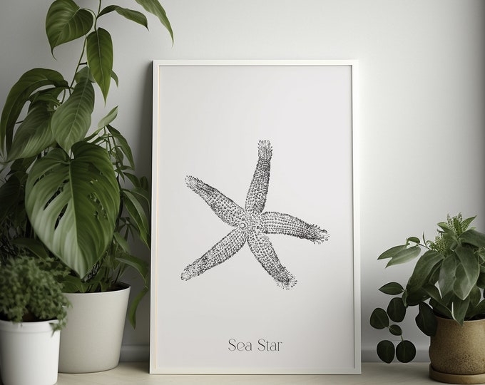 Vintage Sea Sart Poster -  Nautical Print Sea Life Poster Seastar Poster Gift Idea. Create your own set from our store. Wall Art