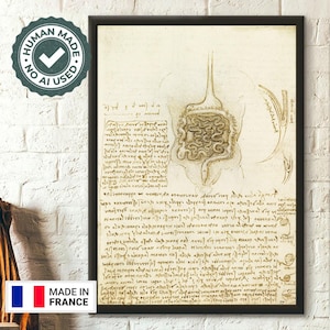Da Vinci 1508: El tracto gastrointestinal y la vejiga - Póster anatómico humano de arte médico. Póster de Da Vinci: Corazón. Regalo médico. Arte mural.