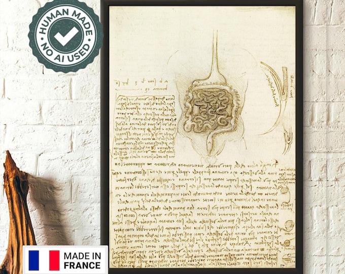 Da Vinci 1508 The Gastrointestinal Tract And The Bladder - Medical Art Human Anatomical Poster Da Vinci Poster Heart Medical Gift Wall Art