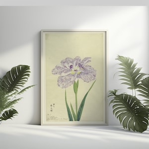 Wand Kunst Vintage Iris Japanische Blume Poster 1910 Dekor Botanische Druck Romantische Blumen Illustration Wissenschaft Garten Poster Wandkunst
