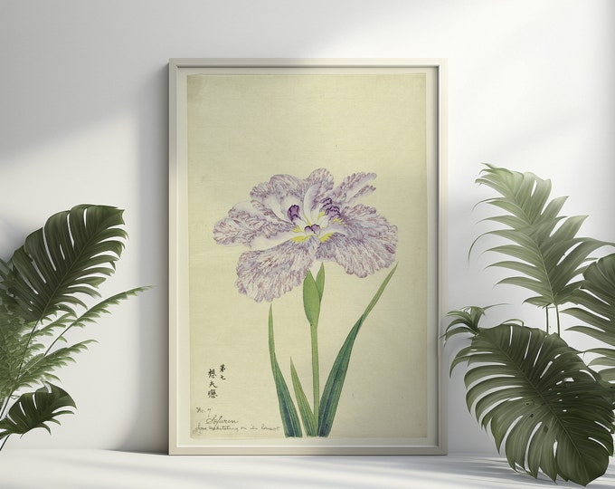 Wall Art Vintage Iris Japanese Flower Poster 1910 Decor Botanical Print Romantic Floral Illustration Science Garden Poster Wall Art