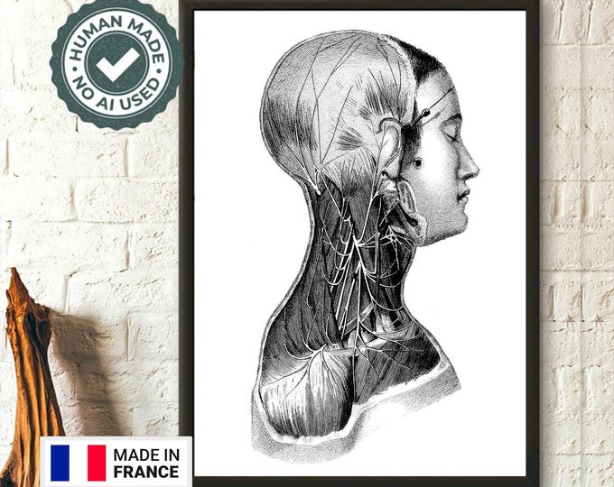 Vintage Anatomical Heart Print - Medical Wall Art Doctor Graduation Gift Living Room Decor