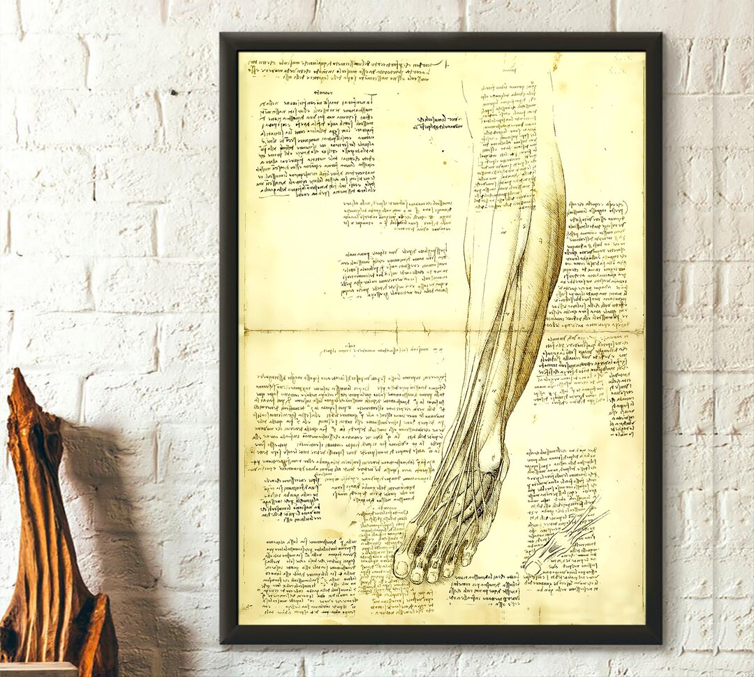 Da Vinci Medical Print - Medical Decor Human Anatomical Poster Da Vinci ...