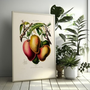 Póster de flores tropicales con decoración botánica vintage de mango del siglo XIX.