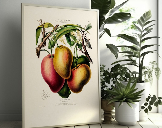 19th Century Mango Floral Wall Art  Vintage Botanical Decor  Tropical Flower Poster