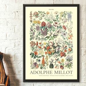 Flower Poster - Adolphe Millot Poster Kitchen Decor Botanical Print - Living Room Prints Art Reproduction Wall Art