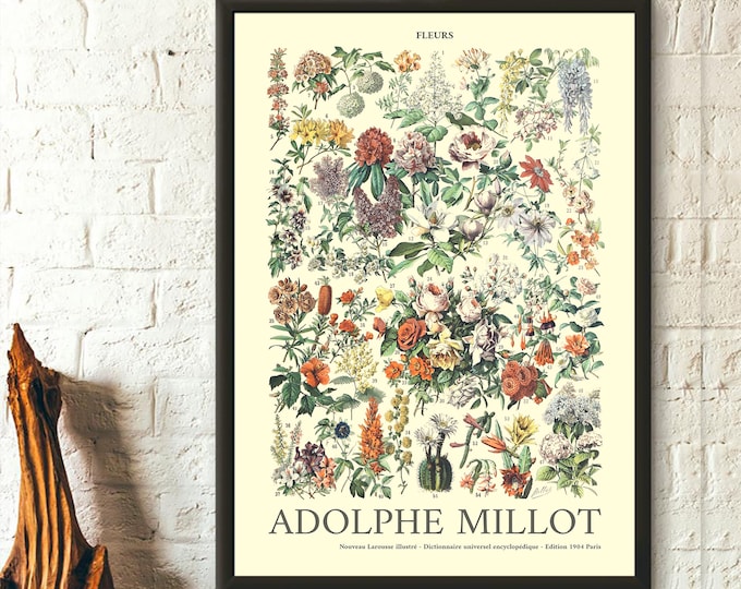 Wall Art Flower Poster - Adolphe Millot Poster Kitchen Decor Botanical Print - Living Room Prints Art Reproduction Wall Art