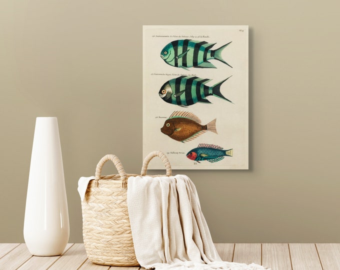 Vintage 1754 Fish Print Wall Art - Botanical Marine Decor for Living Room