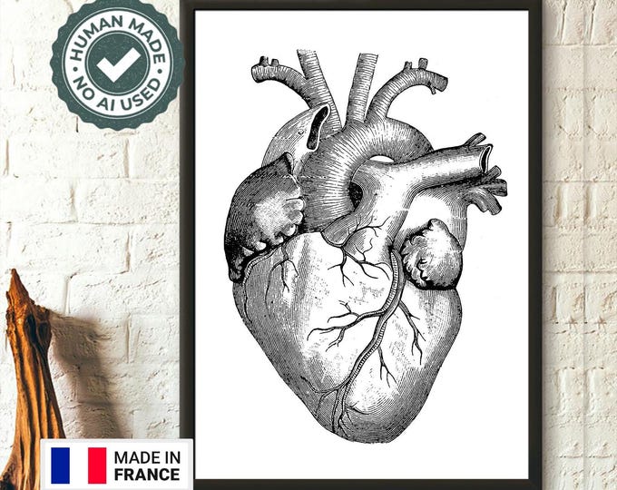 Vintage Anatomical Human Heart Print  Medical Wall Art  Unique Graduation Decor