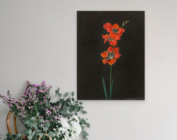 Vintage Lily Botanical Print: Restored Floral Wall Art