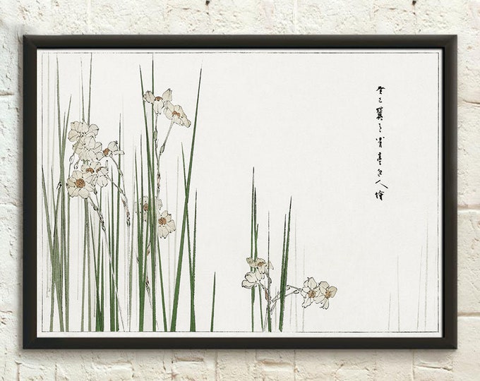 Jonquil Wall Art Print by Watanabe Seitei Kacho-ga Artist Japanese Poster Illustration