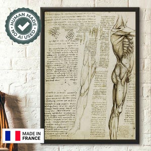 Poster anatomico di Da Vinci, I muscoli della gamba, stampa artistica anatomica di alta qualità con decorazioni mediche