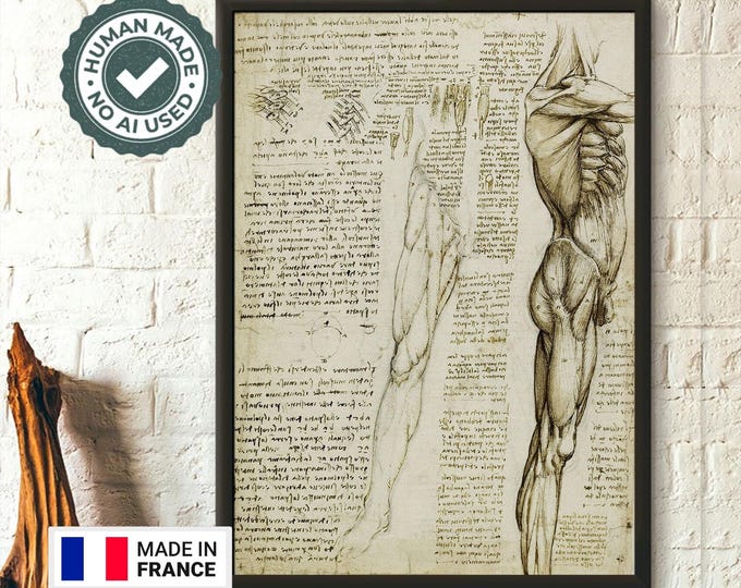 Da Vinci Anatomy Poster The Muscles of the Leg  Premium Medical Decor  Anatomical Art Print