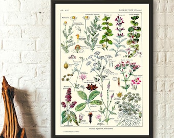 植物界のニューウェーブ「Bizarre Plants」展示販売会、grafにて