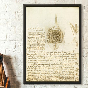 Da Vinci 1508 The Gastrointestinal Tract And The Bladder - Medical Art Human Anatomical Poster Da Vinci Poster Heart Medical Gift Wall Art